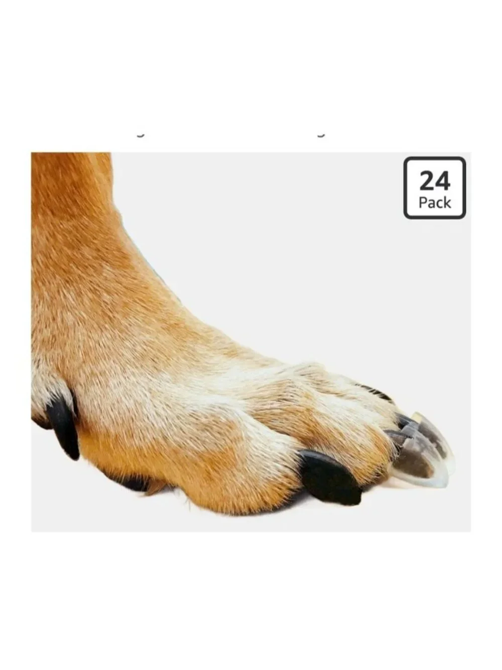 Dr. McHenrys Dog Toe Treads with Adhesive & Brush Senior Dog Traction & Mobility
